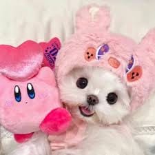 Ahad Raza Mir avatar